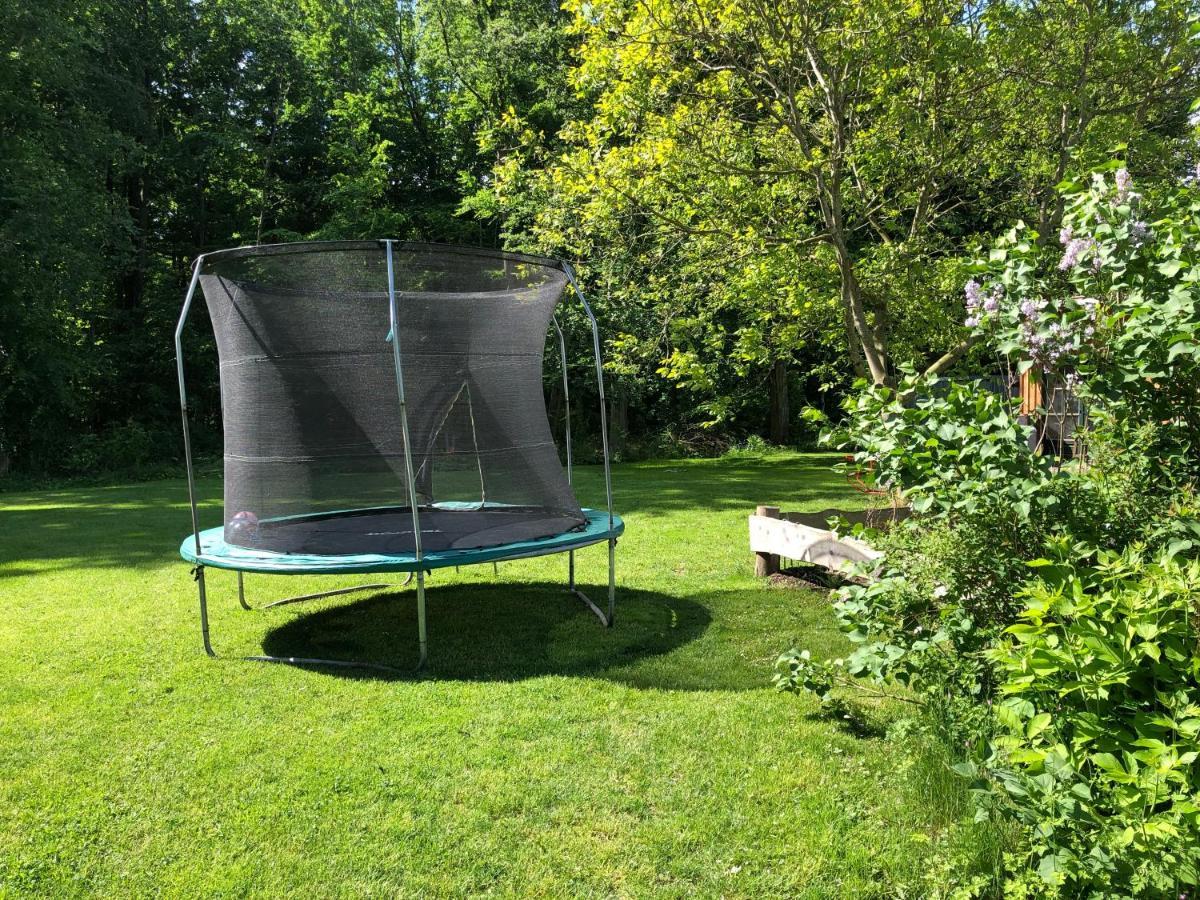 Ferienwohnung Am Waldrand Mit Sauna Biendorf Экстерьер фото